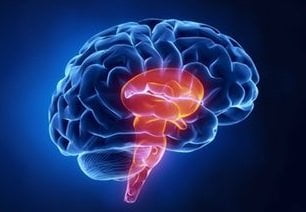 فلج مغزی: عوامل، پیشگیری، مراقبت
