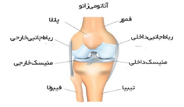 the mosyt important Knee Problems